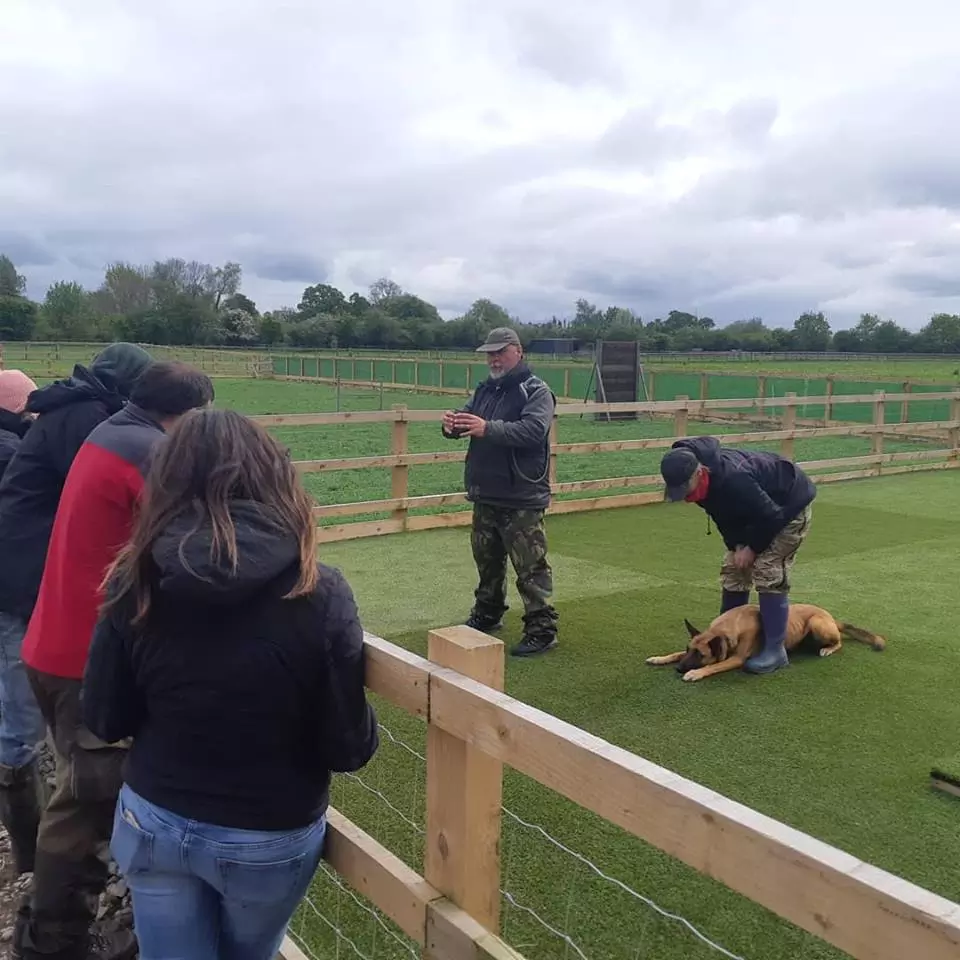 Reactive Dog Training Near Me