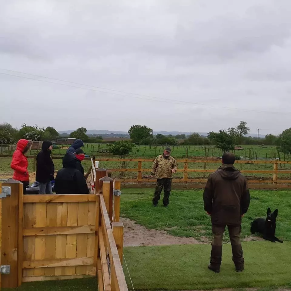 reactive dog training classes near me